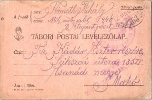 Austria Soldier's Free Mail 1915 Hadtap-Postahivatal 168 Postcard to Mako, Bo...