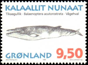 Greenland #303-308, Complete Set(6), 1996, Whales, Never Hinged