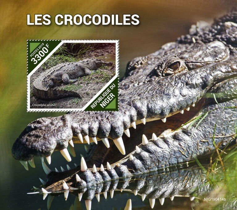 Niger 2019 MNH Reptiles Stamps Crocodiles American Crocodile 1v S/S 