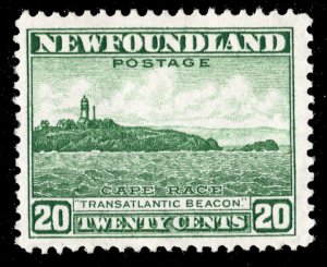 Newfoundland Scott 263 Mint never hinged.
