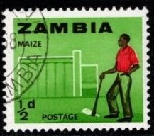 Zambia - #4 Farmer & Silo - Used