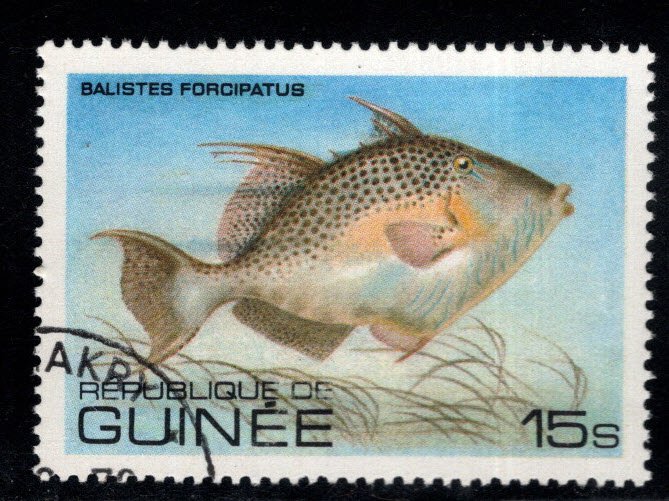 Guinea Scott 806 Triggerfish stamp favor canceled on various corners