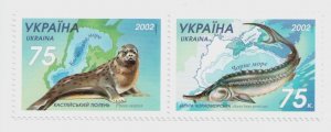 2002 Ukraine stamps Caspian seal, Black Sea beluga, fauna,  marine life, MNH