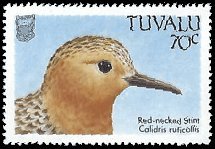 TUVALU   #481 MNH (1)