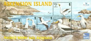 ASCENSION ISLAND 842a  MNH  SS SCV $10.00 BIN $5.75