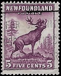 NEWFOUNDLAND   #190 USED (6)