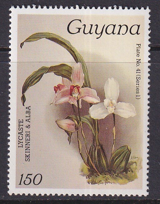 Guyana (1985) #1073 MNH; Orchid