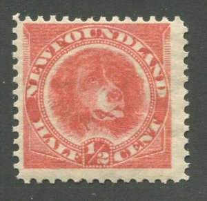 NEWFOUNDLAND #56 MINT