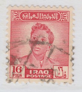 Iraq 1950-51 16f Used Stamp A22P1F7562-