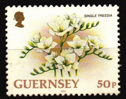 Guernsey Unused NH Scott 494