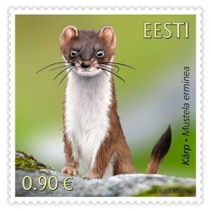 Stamps of Estonia 2021 - Estonian Fauna - Ermine