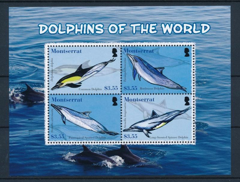 [40594] Montserrat 2008 Marine Life Dolphins MNH Sheet