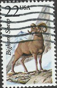 # 2288 USED BIGHORN SHEEP