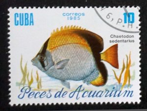 CUBA Sc# 2814  TROPICAL FISH Marine Life  10c  1985 used cto