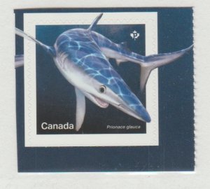 3109 Sharks - MNH
