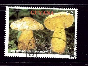 Guyana 2010c CTO 1989 Mushrooms