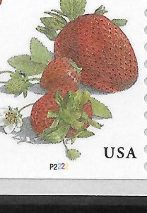 ALL 5 NEW FRUIT PLATE NUMBERS--Scott #5037, 5038, 5039, 5201, 5256--All B2 or P2