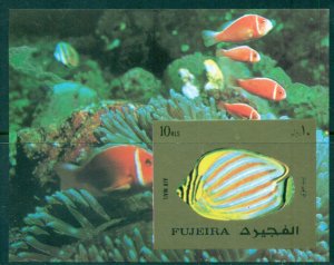 Fujeira 1972 Mi#MS141B Marine Life, Fish MS IMPERF MLH