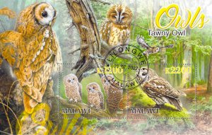 Malawi 2022 Sheet  Tawny Owl wildlife bird 2 values (TS0175)