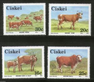 Ciskei 1987 Nkone Cattle Cow Bull Herd Domastic Animals Fauna Sc 106-9 MNH #4319