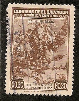 Salvador  Scott   C76   Coffee     Used