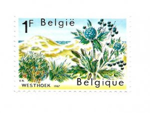 Belgium 1967 - MNH - Scott #684 *