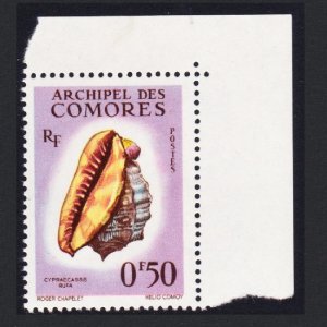 Comoro Is. Sea Shell 'Cypraecassis rufa' 50c Corner 1962 MNH SC#48 SG#23 MI#42