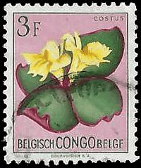 BELGIAN CONGO   #275 USED (1)
