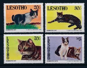 [35711] Lesotho 1993 Animals Cats MNH