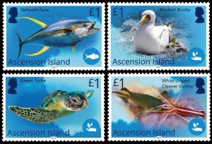 ASCENSION ISLAND 2021 BIRDS FISH TURTLE SHRIMP BLUE BELT PROGRAMME MARINE FAUNA