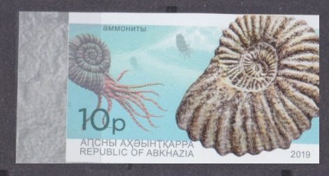 2019 Abkhazia Republic 1003b Sea shells 7,00 €