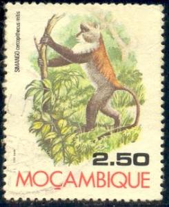 Monkey, Guenon, Mozambique stamp SC#557 used