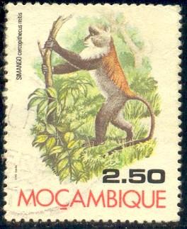 Monkey, Guenon, Mozambique stamp SC#557 used