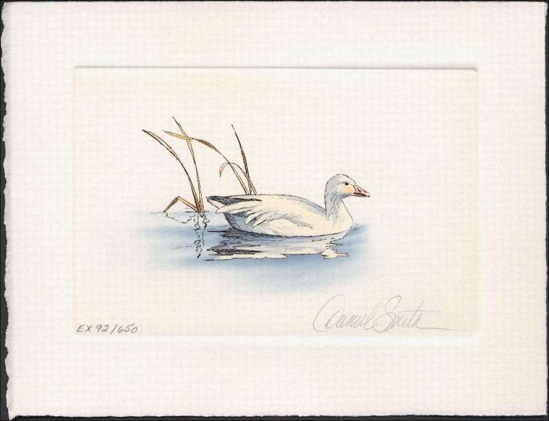 NEW JERSEY  #6 1989  DUCK  STAMP PRINT  SNOW GEESE EXECUTIVE ED By Daniel Smith