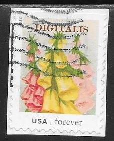 4756 - Forever Vintage Seed Packets used f-vf. on piece