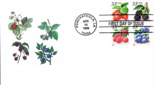 #3294-97 Fruit Berries CompuChet FDC