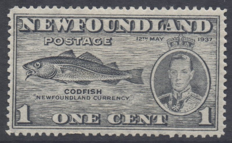 Canada Newfoundland Scott 233 - SG257, 1937 Coronation 1c Perf 14 MH*
