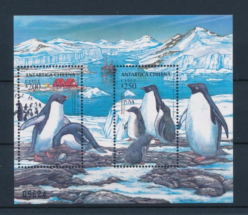 [40193] Chile 1993 Birds Vögel Oiseaux Ucelli  Penguins Antarctic MNH Sheet