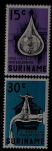 Suriname 395-96 MNH Water works SCV1.35