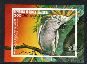 EQUATORIAL GUINEA 77122 AIR MAIL S/S Parrot