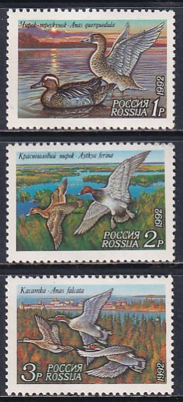 Russia 1992 Sc 6090-2 Various Ducks Fowl Fauna Lake Sea Ocean Stamp MNH
