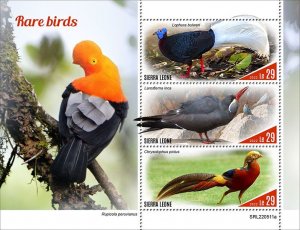 2022 10-SIERRA LEONE - RARE BIRDS          3V  complet set    MNH ** T