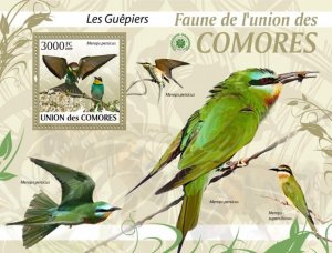 COMOROS - 2009 - Bee-eaters - Perf Souv Sheet - Mint Never Hinged