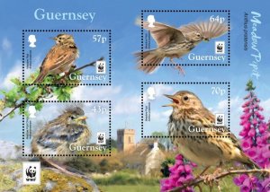 Guernsey 2017 WWF Rare birds Anthus pratensis set of 4 stamps in block MNH