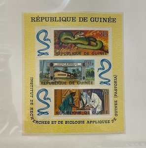 Souvenir Sheet Guinea Scott #C88a nh