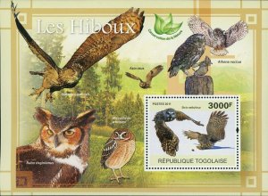 Owls Stamp Bird Bubo Virginianus Asio Otus Athene Noctua S/S MNH #3898 / Bl.589