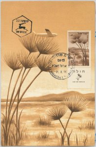 56433 -   ISRAEL - POSTAL HISTORY:  MAXIMUM CARD 1956 - AVIATION Nature