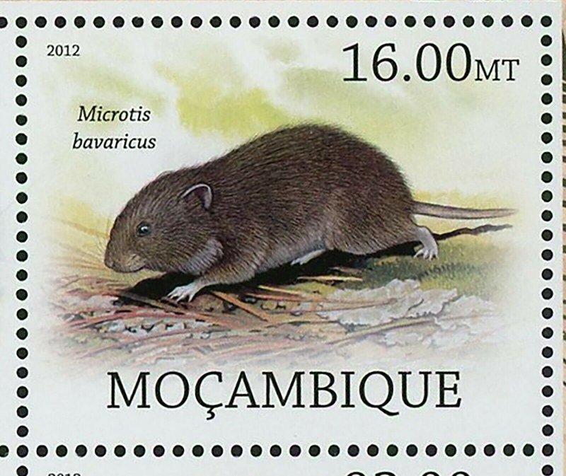 Rodents Stamp Pseudomys Gouldii Megalomys Luciae Souvenir Sheet MNH #5692-5699