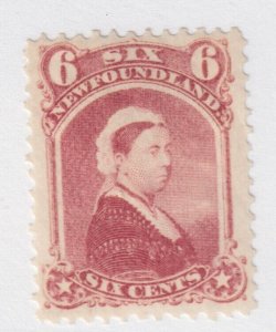 NEWFOUNDLAND NFLD #35a 1874 6cent Bright rose VF example lightly hinged