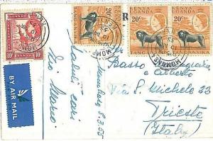 12292 - KENYA UGANDA TANGANIKA  - POSTAL HISTORY - Postcard to Italy 1955 LIONS